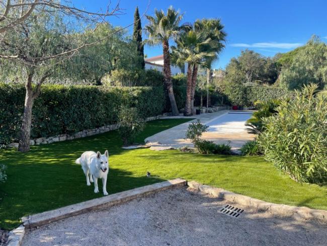  Transformation d'un jardin grâce à la pose de gazon synthétique