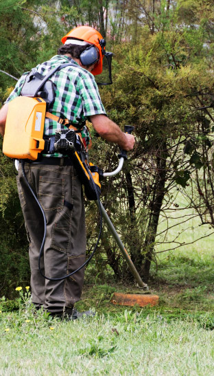 Débroussaillage de vos parcs et jardins à Fréjus et ses environs