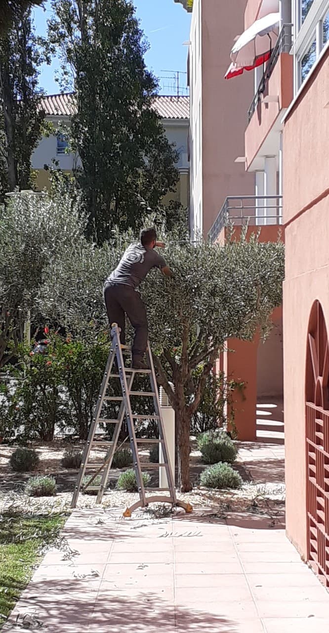 118652923_324353758801440_4057985293129772791_n