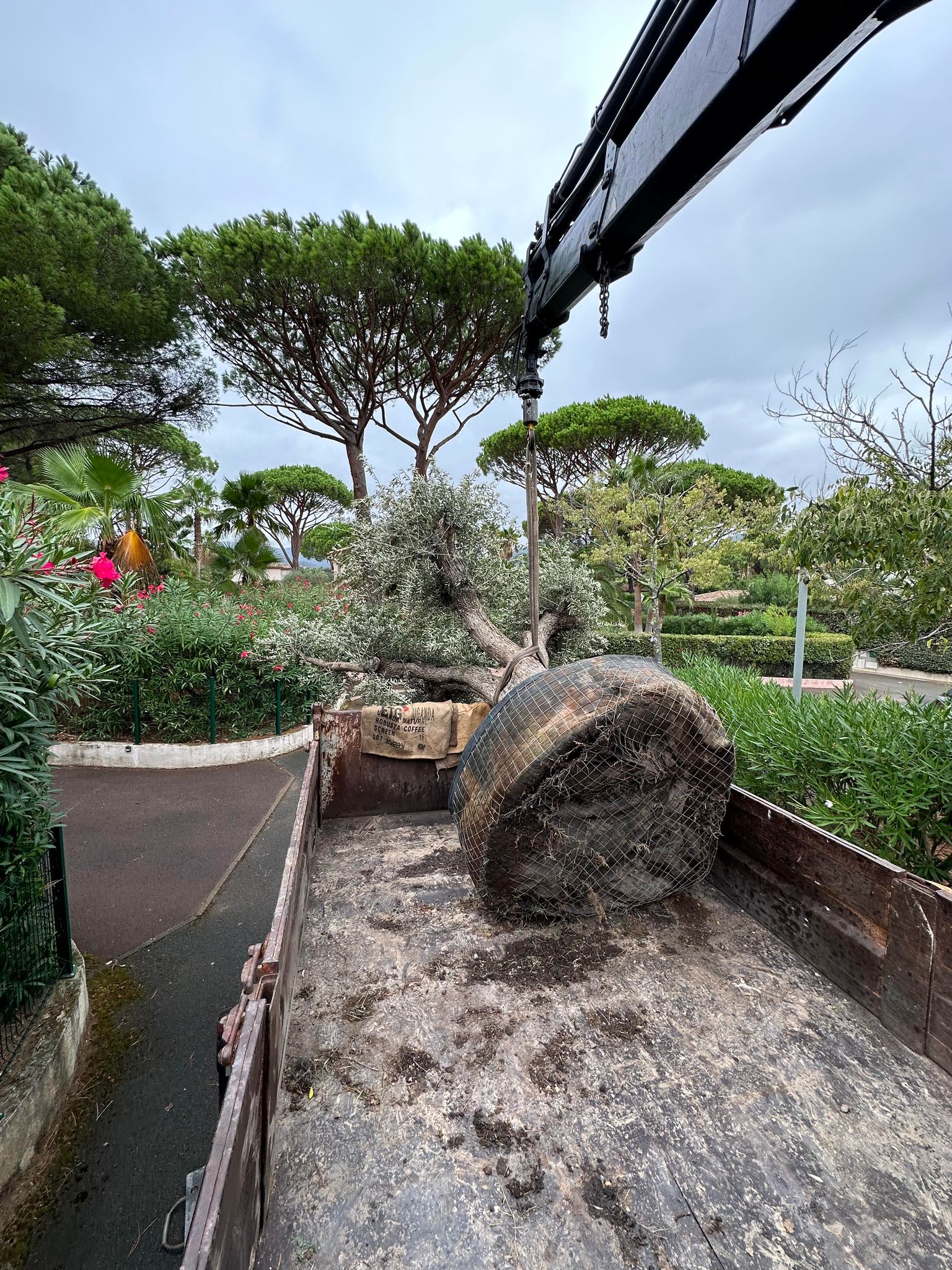 377752044_1022546582216293_2326552636461839104_n