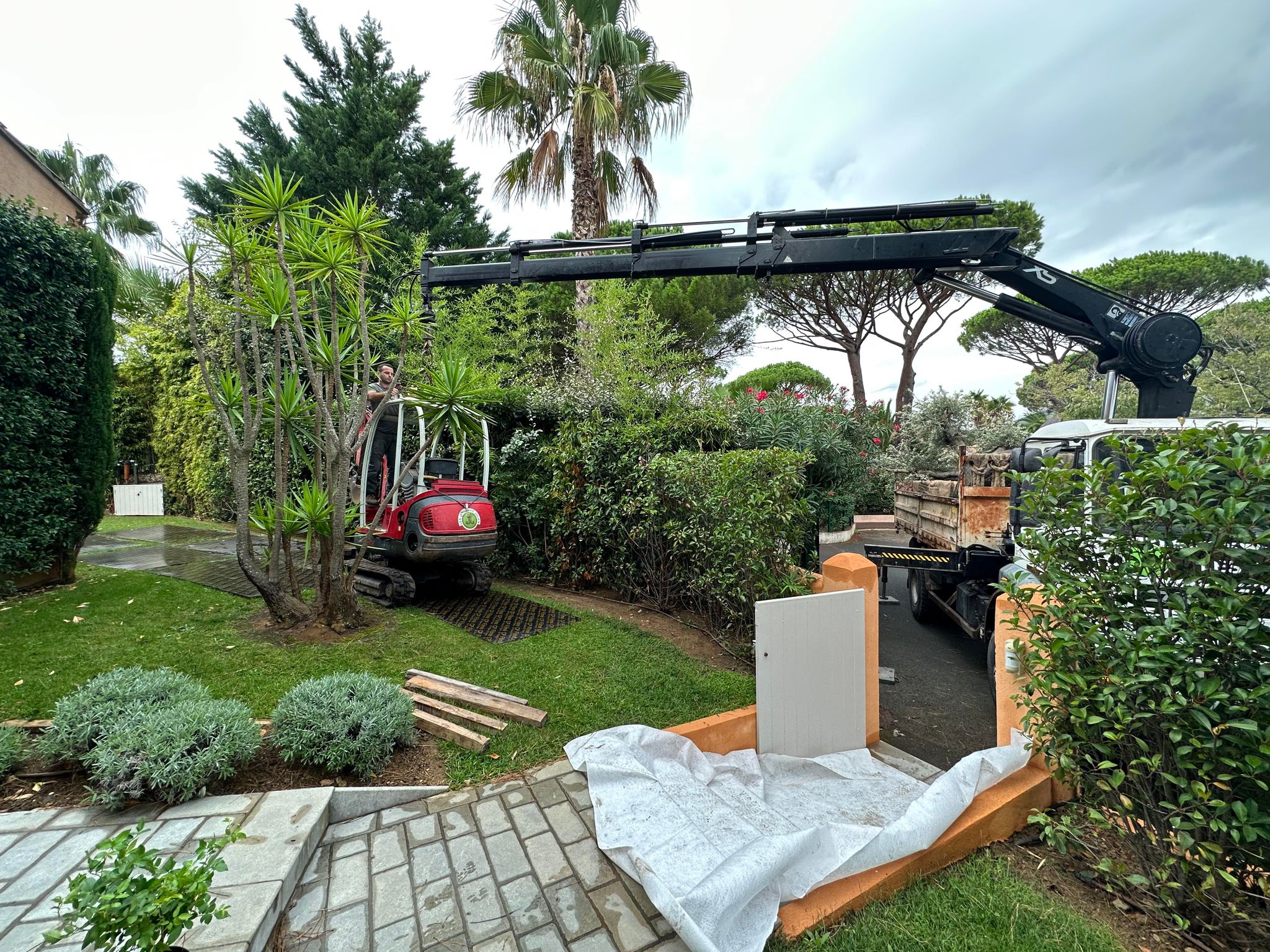 378131865_1833254523797460_5036818264829412276_n